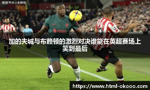 加的夫城与布赖顿的激烈对决谁能在英超赛场上笑到最后